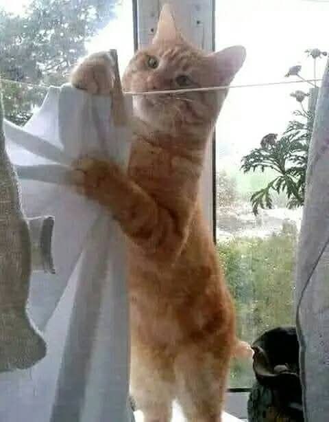 :) ,  ... ----------------------------