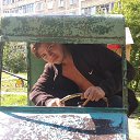 ���� �����, �����, 21 ��� - ��������� 24 ������ 2026 � ������ ���� ����������