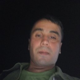 , 33, 