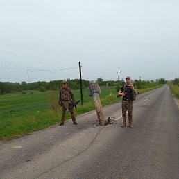  ˸, -, 38  -  4  2025