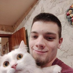 �����, 24 ����, ���������