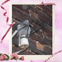 ���� ������, ����-��� - ��������� 9 ���� 2025 � ������ ���� �� ���� � ������� ������� � �������. ����� 4�
