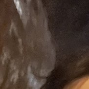 �����, 26 ���, �������