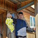 ���� ������, ���������, 52 ���� - ��������� 24 ������ 2024 � ������ ���� ����������