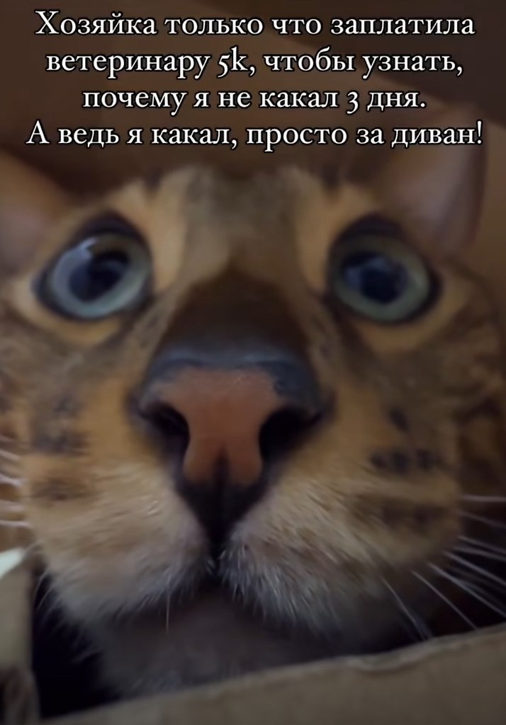 ������� - 17 �������� 2025 � 03:03