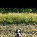 ���� Mića, �������, 36 ��� - ��������� 28 ������ 2024