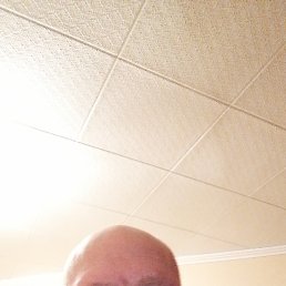 ������, 56 ���, �������