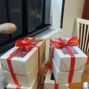 ���� ������, �����-���������, 48 ��� - ��������� 26 ������� 2024 � ������ ���� ����������