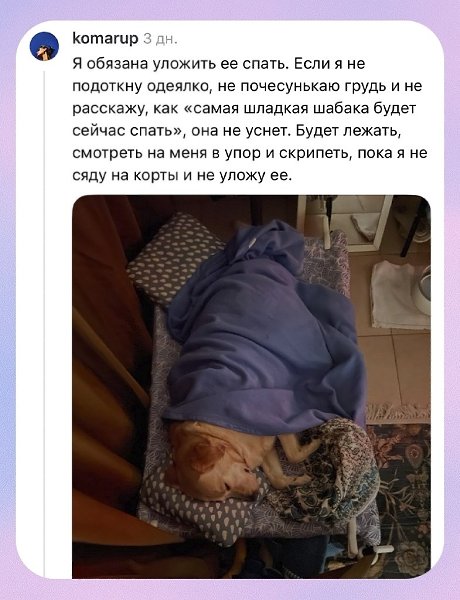 �������� ��������� ����� ���������� - 2