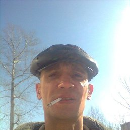 , 41, 