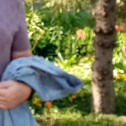 ������, ����, 67 ���