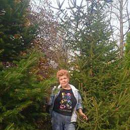 ���� �����, �����������, 50 ��� - ��������� 4 ������ 2026