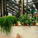���� ����, ���������, 60 ��� - ��������� 2 ������� 2025 � ������ ���� ����������