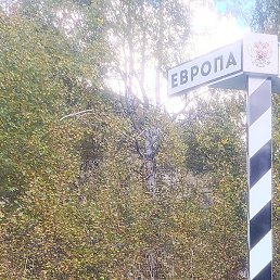 ������, ��������, 54 ����