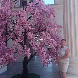 �����, ��������, 59 ���