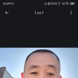 �����, 43 ����, ���������