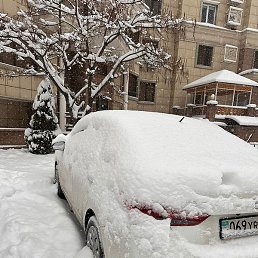 ��������, ������, 56 ���