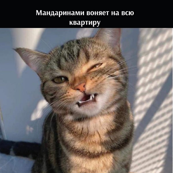 ���������� ������ - 4