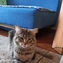 ���� H������, ������ - ��������� 4 ��� 2025 � ������ ���� ����������
