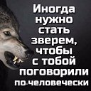���� ������ ������, ������ ��������, 41 ��� - ��������� 21 ������ 2026