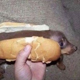 ��������, ������, 27 ���