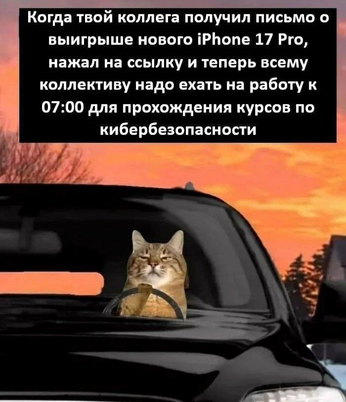  - 3  2025  21:46