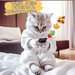 ���� �����, ������, 56 ��� - ��������� 17 ��� 2026