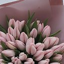 ���� Nataly, ����� - ��������� 1 ����� 2026 � ������ ������ ��������