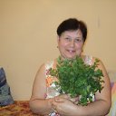 ���� ������, ����� - ��������� 30 ����� 2026 � ������ ���� ����������