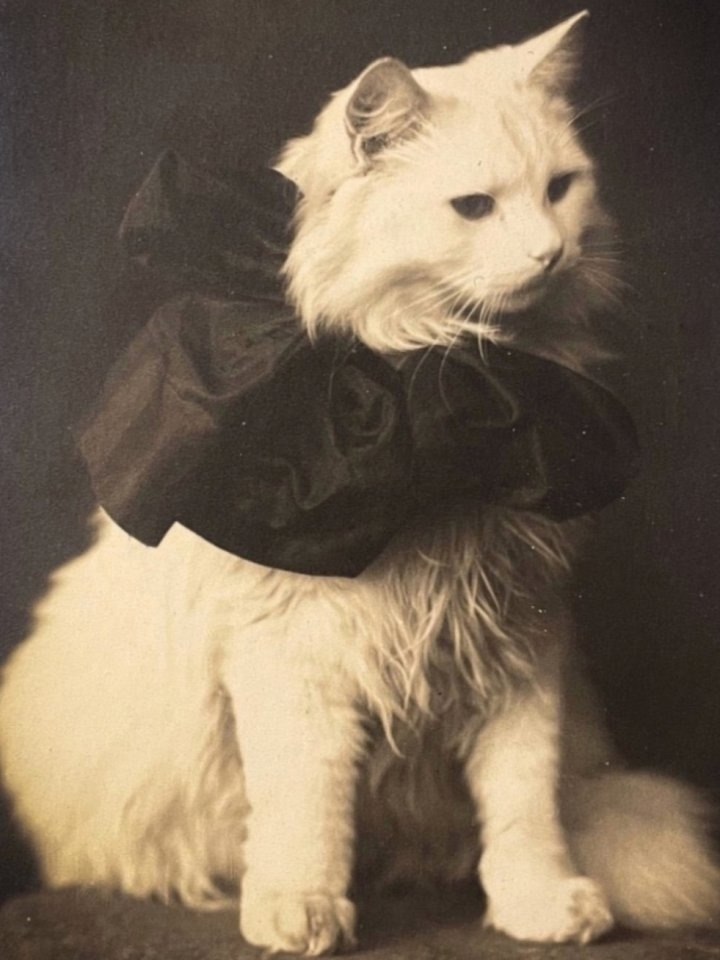 Этим кадрам больше века... Тогда фотография была сложным и долгим делом: громоздкая камера, штатив, ... - 7