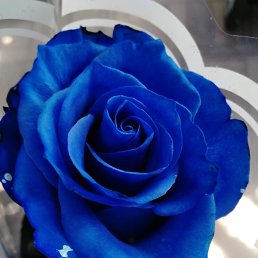 ���� ���������, ����-����, 54 ���� - ��������� 23 ������� 2023