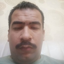 Kavish Bhatiya, ����, 85 ���