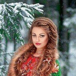 �������, �������, 48 ���