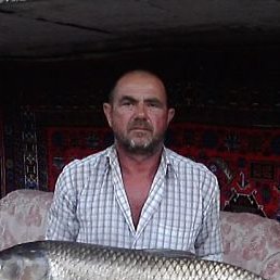 ������, ������-��-����, 66 ���