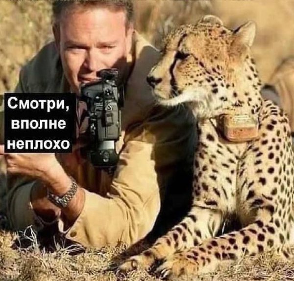  - 27  2025  09:22 - 2