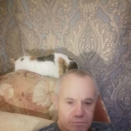 ����, 53 ����, �����