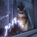 ���� �������, ������, 66 ��� - ��������� 28 ������� 2024 � ������ ������ ��������