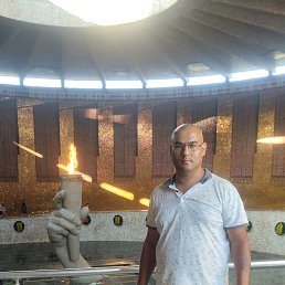 ����, 41 ���, ���