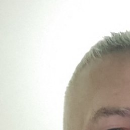 ����, ���������, 46 ���