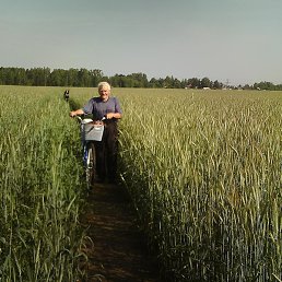 ��������, �������, 76 ���