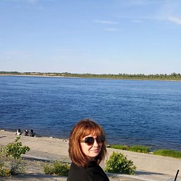 ���� �������, ���������, 41 ��� - ��������� 14 ����� 2026