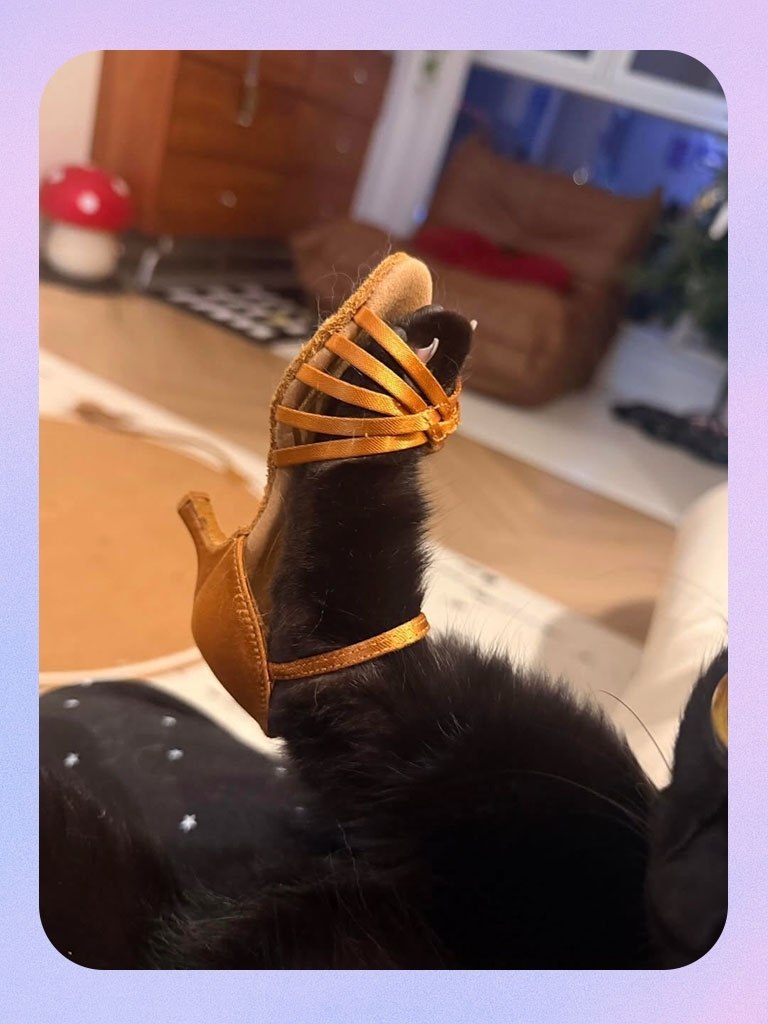 ����� �� ����������, �� ��� ���� ��� �������: - 2