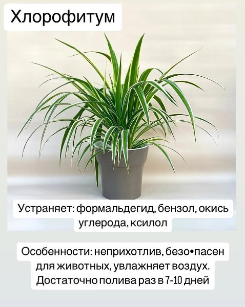�������-����������yx�.����������������������y�����������,�����y����������������.������������������������-�����:����������������������yx����������,��y�������������������� - 7