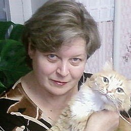 ����,������ 155 �������, ���������