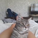 ���� ������ �������, �����������, 52 ���� - ��������� 12 ����� 2024 � ������ ���� ����������