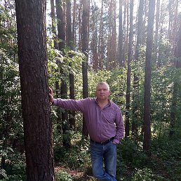 ���������, �����, 51 ���