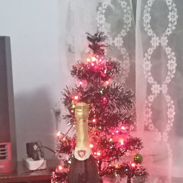 ���� ���������, �������, 56 ��� - ��������� 31 ������� 2025