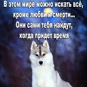 ���� �������, �����������, 45 ��� - ��������� 17 ������ 2025 � ������ ������ ��������