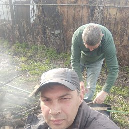  , 38 , 