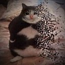 ���� �����, �����������, 22 ���� - ��������� 24 ��� 2025 � ������ ���� ����������